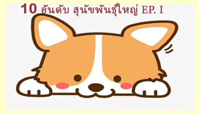 Song Khao - สุนัขพันธุ์ใหญ่ - 1